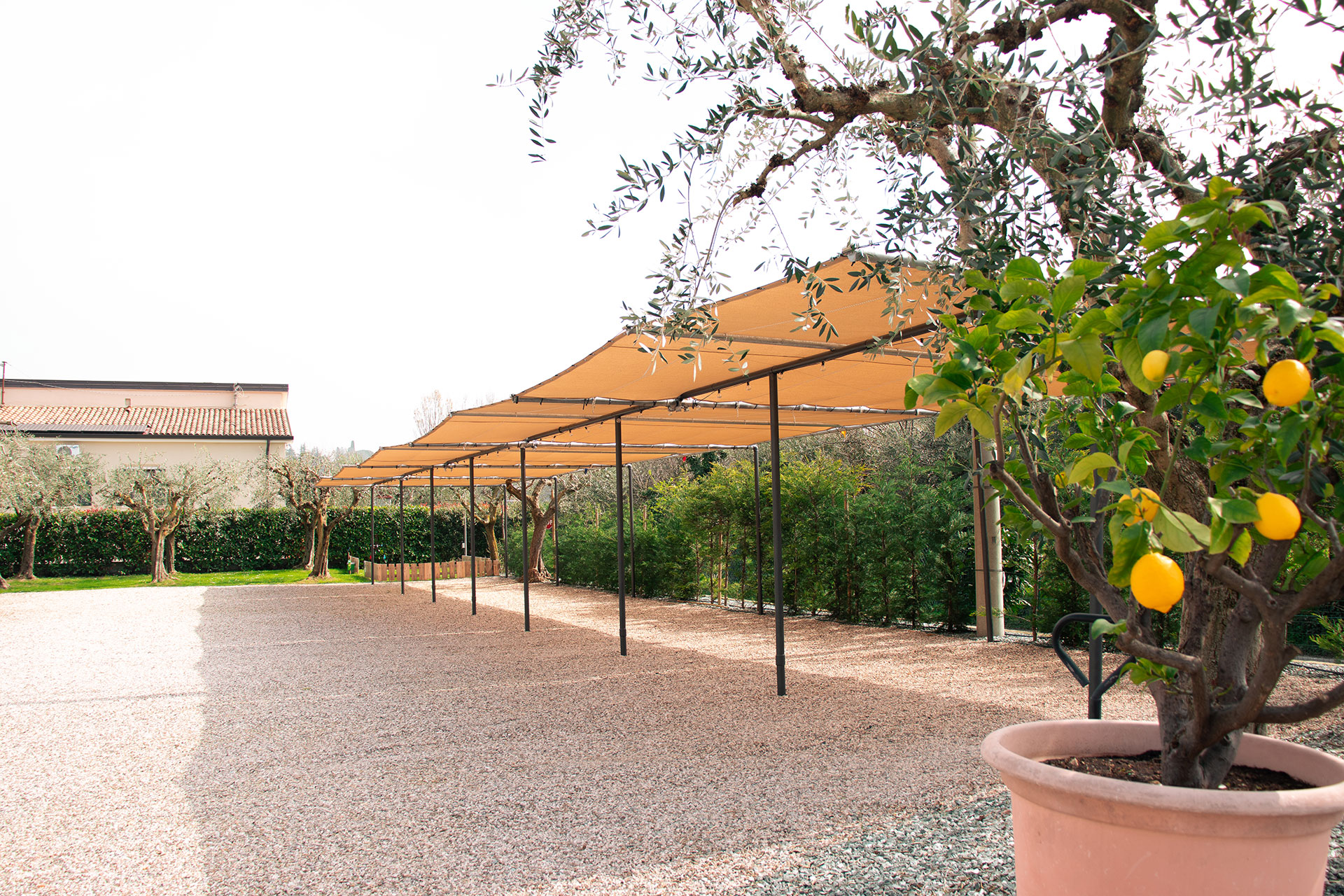 Corte Rocchetti Suite Lazise